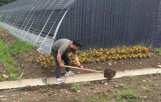 1721788293363645.jpg 特產(chǎn)2.jpg