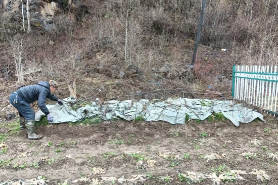 1746516058736372.jpg 踐行綠色使命 書寫生態(tài)答卷森林資源管護(hù)大隊(duì)扎實(shí)推進(jìn)春季營(yíng)林生產(chǎn)工作(2).jpg