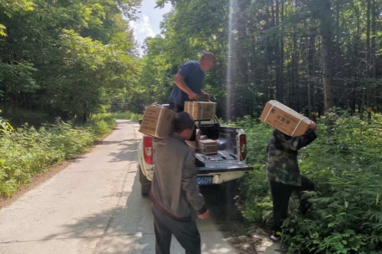 1752563176535732.jpg 大川林場(chǎng)開(kāi)展森林病蟲(chóng)害防治工作(3).jpg